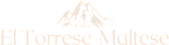 Abruzzo News